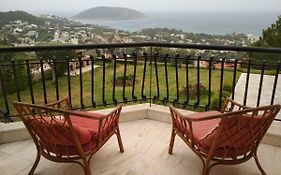 Saronic View